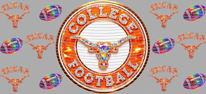 16oz team-NFL 3331